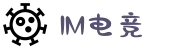 IM(股份有限公司)电竞-电子竞技平台